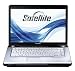 Toshiba Satellite A210-1CF 15,4 Zoll Notebook (AMD Turion 64 X2 TL-60 2GHz, 3GB RAM, 250GB HDD, ATI HD2400 , DVD+-RW DL, Vista Home Premium)