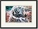 Black Framed/Matted Print 17x23, Puck Magazine: Gambling with Death