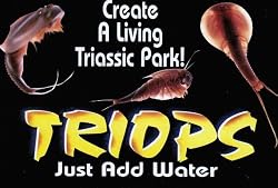 Triops Small Pack
