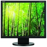NEC AccuSync AS191-BK 19-Inch LCD Monitor - Black