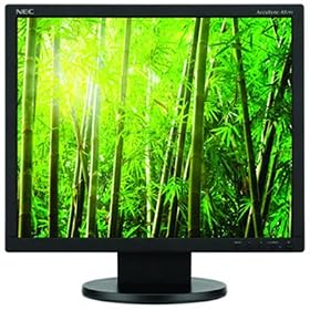 NEC AccuSync AS191-BK 19-Inch LCD Monitor - Black by NEC