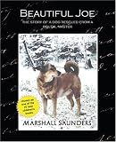 Beautiful Joe