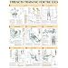 Legs Poster (Strength Training Anatomy) (Strength Training Anatomy)