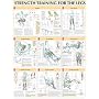 Legs Poster (Strength Training Anatomy) (Strength Training Anatomy)