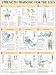 Strength Training Anatomy: Strength Training for the Legs Poster (Strength Training Anatomy) by Frederic Delavier ISBN 0736059385