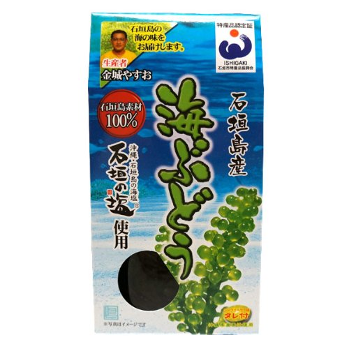 结円养殖 石垣岛产海ぶどう 100g×6个セット