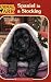 Spaniel in a Stocking (Animal Ark Holiday Treasury #13-Christmas) (Animal Ark Series #50)