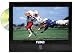 NAXA NTD-1351 13.3-Inch Widescreen HD LED TV with Built-in Digital TV Tuner and DVD Player