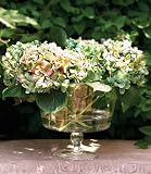 Marquis by Waterford Vintage Garden Centerpiece