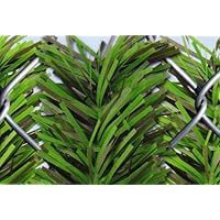 5' Chain Link Fence Forevergreen Hedge Slats