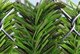 6' Chain Link Fence Forevergreen Hedge Slats