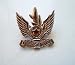 Official Israeli Air Force Beret Insignia pin