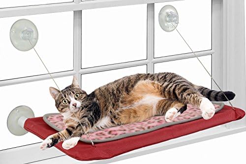 Window Mounted Cat Bed - Comfortable Window Sunny Cat Perch - Cosy Window Cat Hammock with Removable Cushions and Industrial-strength Suction Cups ...