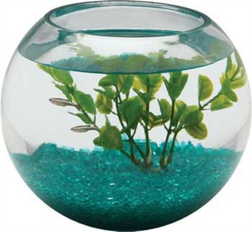 Aquarius BL2.25GLS 1/2-Gallon Glass Bowl