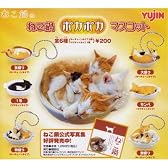 ねこ鍋 ポカポカマスコット 全6種セット