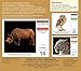 Endangered: Photo Ark 2016 Boxed/Daily Calendar