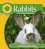 Rabbits