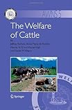 The welfare of cattle