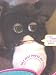 Furby Black with White Belly (Blue Eyes)_s-2