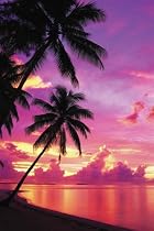 Tahitian Sunset (Palm Trees, Huge) Art Poster Print - 39" X 55"