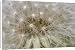 Canvas Prints of -81 from Flpa