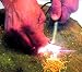 Suchen : Light-my-fire Feuerstahl