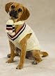 Zack & Zoey Cable Knit Varsity Sweater