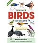Newman's Birds by Colour