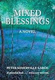 Mixed blessings : a novel