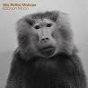 Image of album by Nils Petter Molvaer