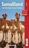 Somaliland: with Addis Ababa & Eastern Ethiopia (Bradt Travel Guide)