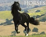 Horses 2011 Wall Calendar (Just)