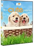 Too Cute Puppies