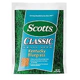 3LB Kentucky BLY Seed