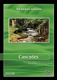 Cascades