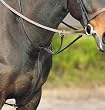 Kincade Flat Martingale Running [Misc.]