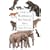 A Guide to the Mammals of Southeast Asia