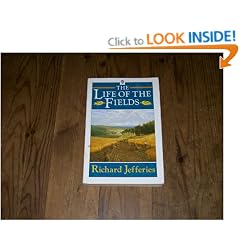 The Life of the Fields