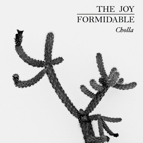 Joy Formidable - Cholla - Zortam Music