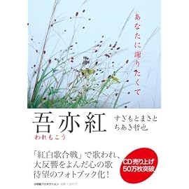 吾亦紅 あなたに謝りたくて