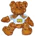 ULTIMATE ARCHERY CHALLENGE FINALIST Plush Teddy Bear with BLUE T-Shirt
