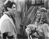THE EGYPTIAN BELLA DARVI EDMUND PURDOM 24X36 B&W PHOTO POSTER PRINT