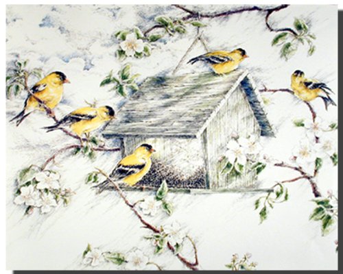Gold Finches Wild Birds In Snow Feeder Animal Picture Art Print (8x10)