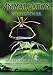 Animal Nation - Spider Power [DVD]