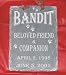Pet Supplies : PET MEMORIAL MARKER RESIN SLATE BRAND NEW