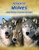 A pack of wolves and other canine groups