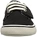 Sperry Ollie Alternative Closure Sneaker (Toddler/Little Kid)