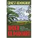 Under Kilimanjaro