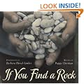 If You Find a Rock
