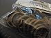 Finishing Touch Linens-N-Things Gold Clamp Rings 10 Total w/ clips 7/8 For Curtain Rods